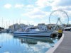 Billede 29