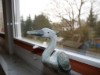 Bild 24