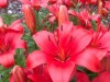 Bild 23