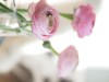 Bild 18 - Innen