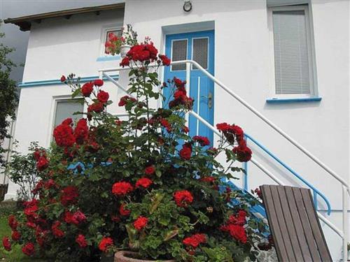 Ferielejlighed - 2 personer -  - Seestraße - 18546 - Sassnitz