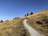 Billede 17 - Ude