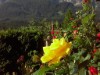Image 20 - Outside