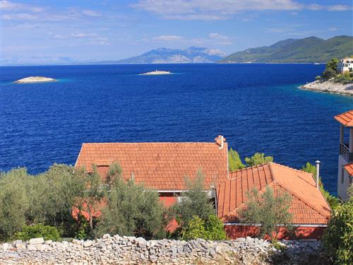 Holiday apartment - 5 persons -  - Prigradica 122/1, Prigradica - 20271 - Blato