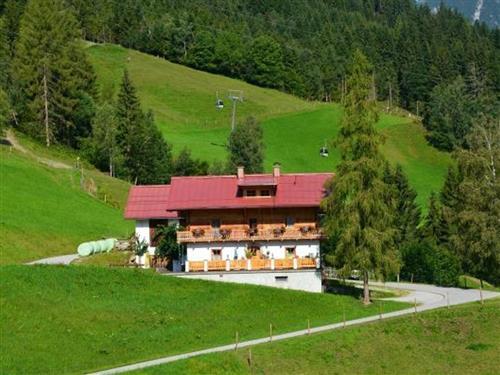 Feriehus / leilighet - 4 personer -  - Schlögelberg - 5505 - Mühlbach Am Hochkönig