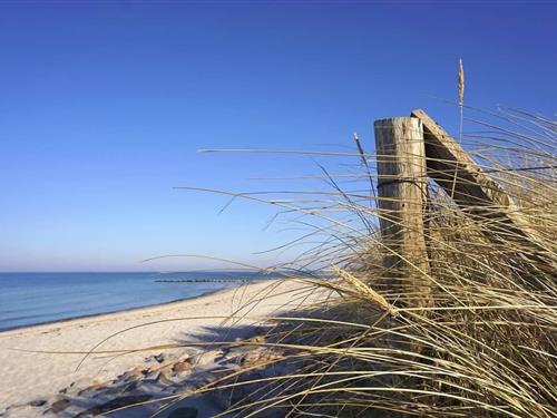 Sommerhus - 4 personer -  - Schönkirchener Str. - 24149 - Kiel