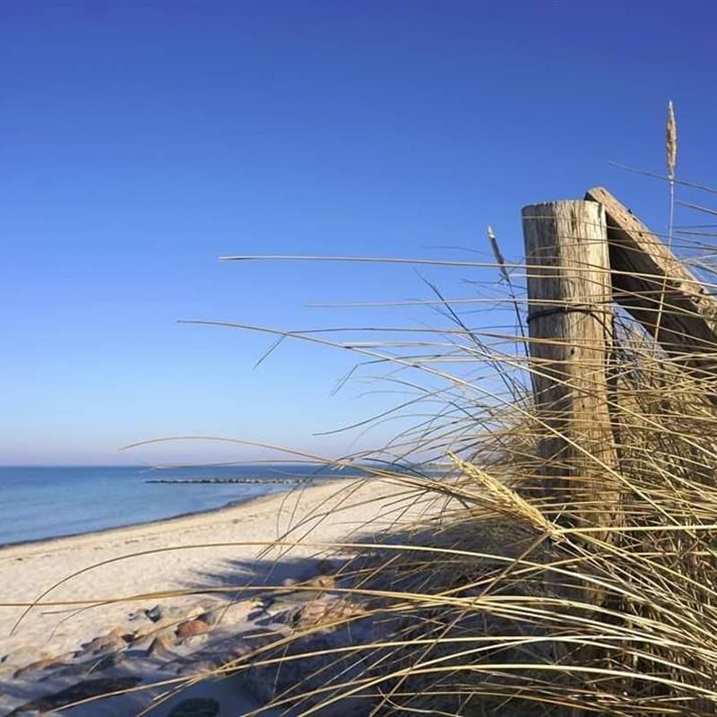 Sommerhus - 4 personer -  - Schönkirchener Str. - 24149 - Kiel