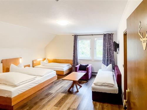 Rom - 4 personer -  - Nuhnetalstr. - 59955 - Winterberg