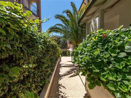 Holiday apartment - 4 persons -  - Bokordici - 52100