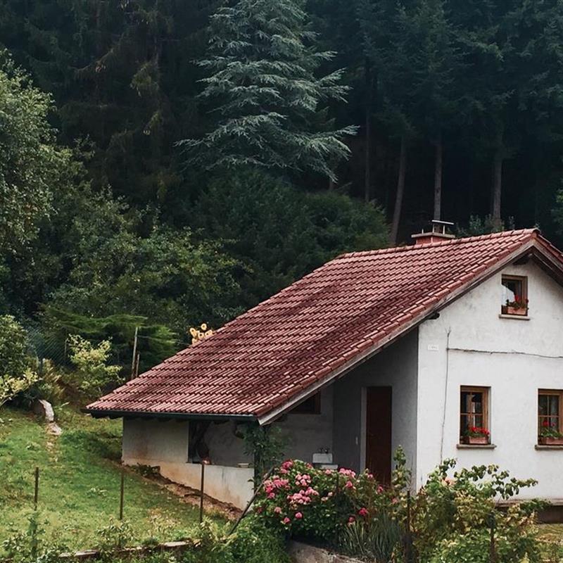 Ferielejlighed - 6 personer -  - Zweibrücker Straße - 66887 - Erdesbach