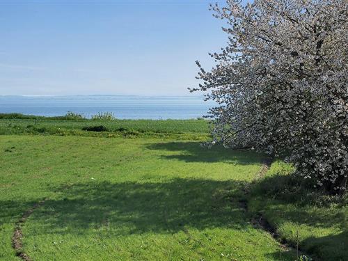 Holiday home - 4 persons -  - Grønvej - Nørre Kettingskov - 6440 - Augustenborg