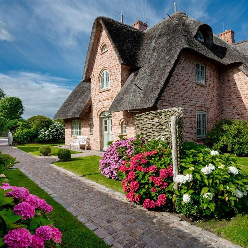 Sommerhus - 4 personer -  - Terpstich - 25980 - Sylt / Morsum