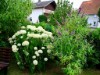 Bild 16 - Ude