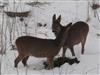 Bild 11 - Aussen