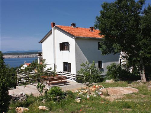 Holiday apartment - 6 persons -  - Ivice Perhata Ricica - 51264 - Jadranovo