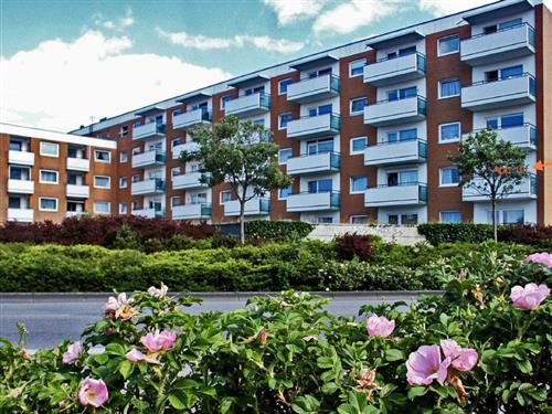 Ferieleilighet - 4 personer -  - Kjeirstr. - 25980 - Westerland Auf Sylt