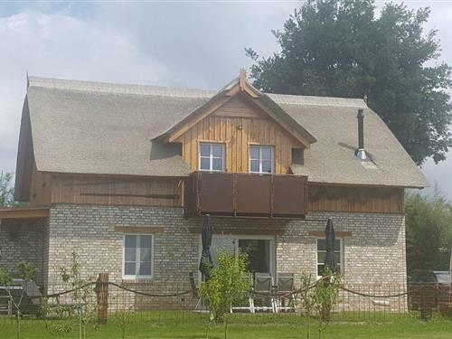 Sommerhus - 8 personer -  - Grüner Winkel - 18375 - Born