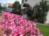 Bilde 33