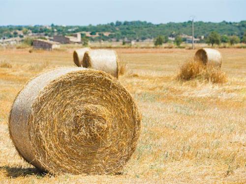 Holiday home - 8 persons -  - 07630 - Campos