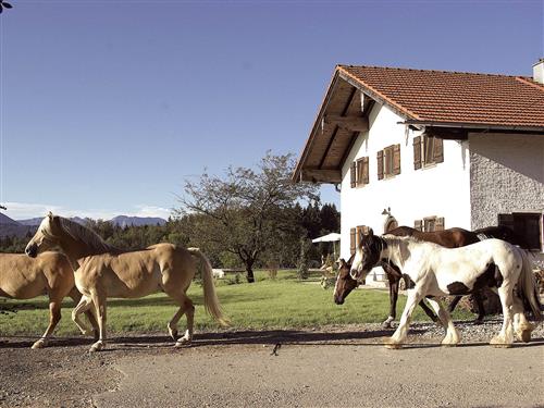 Ferienhaus - 6 Personen -  - Zell - 83379 - Wonneburg