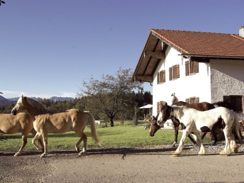Sommerhus - 6 personer -  - Zell - 83379 - Wonneburg