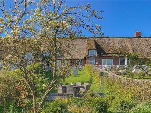 Ferienhaus - 4 Personen -  - Kleine Gaarde - 25842 - Ockholm