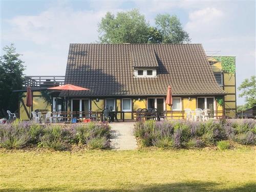 Semesterhus/Semesterlägenhet - 4 personer -  - Alte Poststr. - 17258 - Feldberger Seenlandschaft