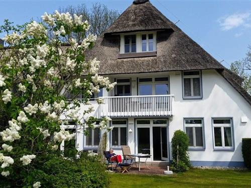 Ferienhaus - 4 Personen -  - Zur Trift - 17406 - Stolpe Auf Usedom