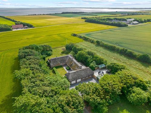Holiday home - 10 persons -  - Søndervig Landevej - Holmsland - 6950 - Ringkøbing