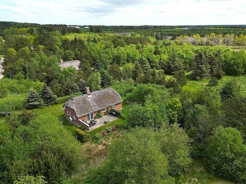 Sommerhus - 4 personer -  - Vester Mosevej - Vester Husby - 6990 - Ulfborg
