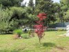 Bild 15 - Aussen