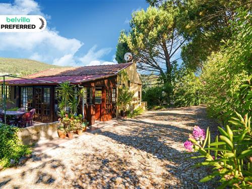 Stuga - 10 personer -  - 4560-027 - Abragão-Penafiel