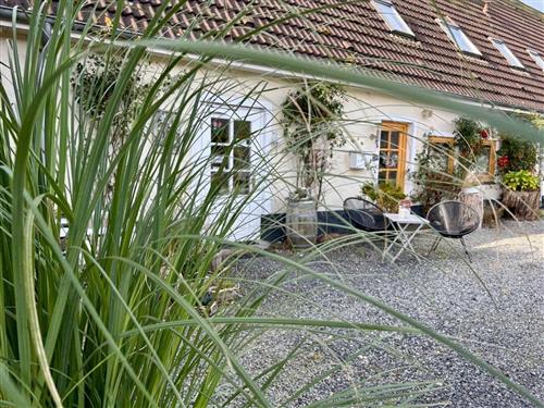 Ferieleilighet - 6 personer -  - Holniser Noorstr. - 24960 - Glücksburg