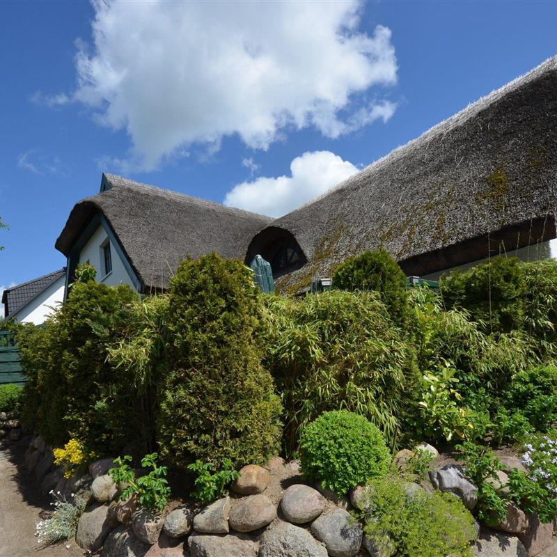 Sommerhus - 6 personer -  - Boddenstraße - 18586 - Groß Zicker