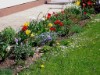 Image 21 - Outside