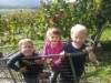 Bild 18