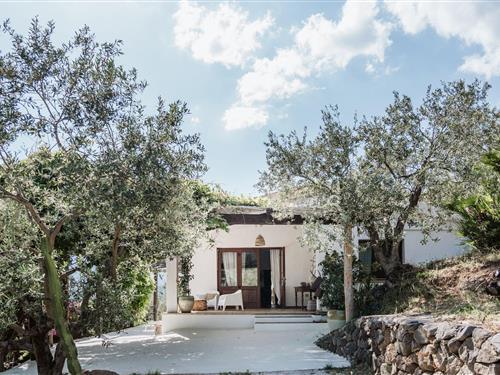 Feriehus - 6 personer -  - Loc. Santa Maria - 08028 - Orosei