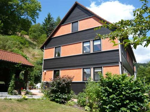 Holiday Home/Apartment - 3 persons -  - Schützenstr. - 38709 - Wildemann