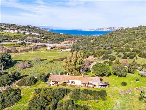 Ferielejlighed - 5 personer -  - Palau - 07020