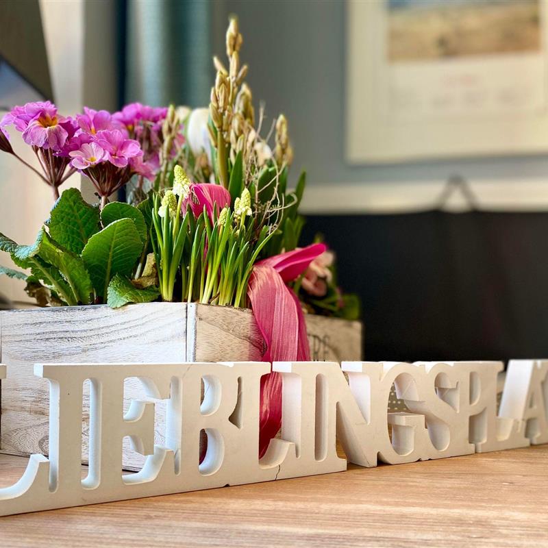 Ferielejlighed - 2 personer -  - Fritz-Wischer-Straße - 25826 - St. Peter-Ording