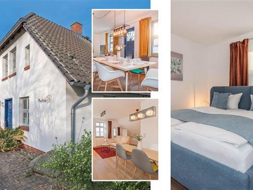 Sommerhus - 8 personer -  - Morgenitzer Berg - 17429 - Mellenthin