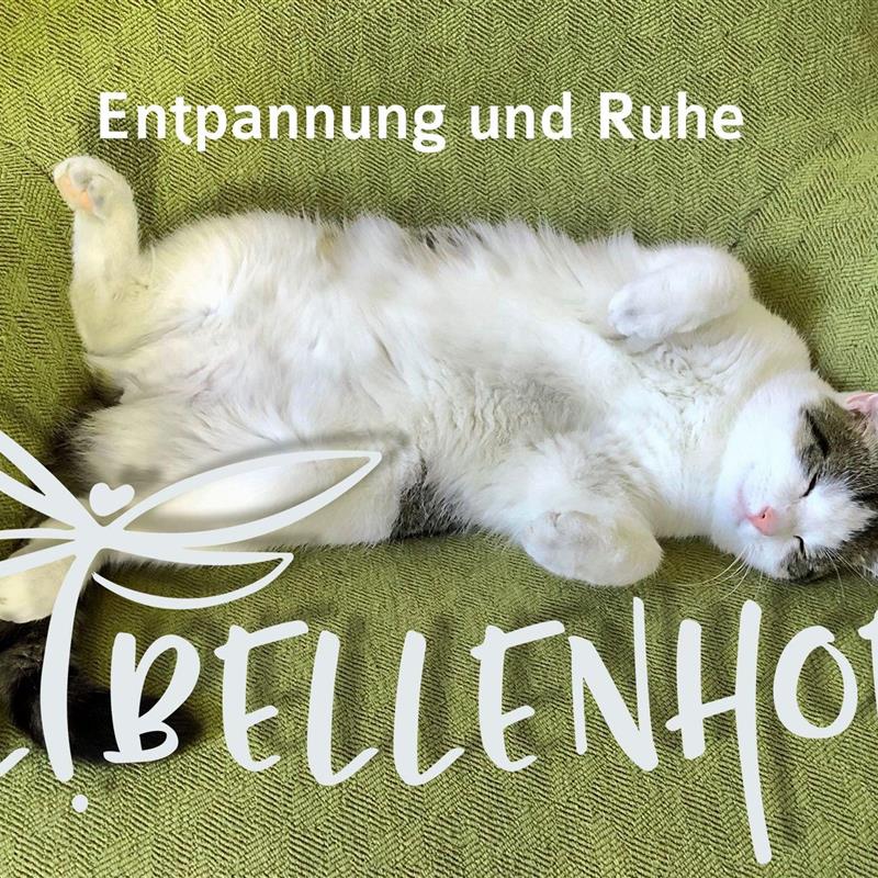 Ferielejlighed - 6 personer -  - Krugauer Dorfstraße - 15913 - Märkische Heide