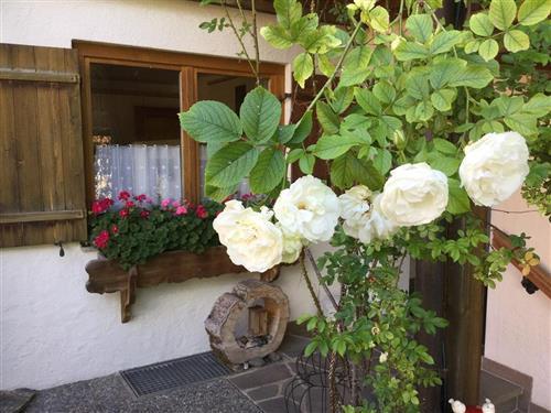 Sommerhus - 2 personer -  - Im Schlauchen - 87541 - Bad Hindelang