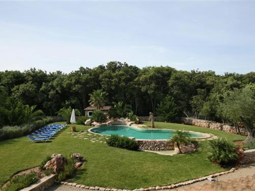 Holiday Home/Apartment - 12 persons -  - 07460 - Pollenca