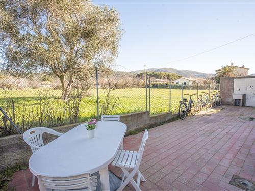 Feriehus / leilighet - 6 personer -  - La Pila La Pila - 57034 - Campo Nell'elba