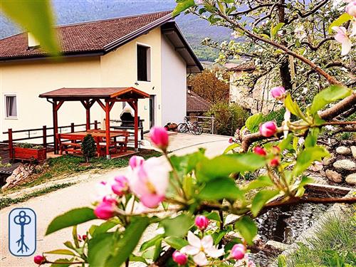 Ferienhaus - 8 Personen -  - Coredo - 38010