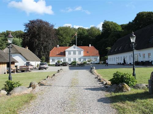 Bauernhaus - 30 Personen -  - Hadsundvej - 9550 - Mariager