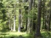 Bild 32