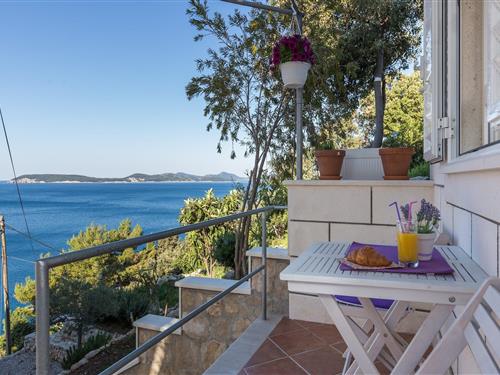 Holiday apartment - 2 persons -  - 20235 - Lozica