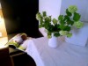 Bild 26